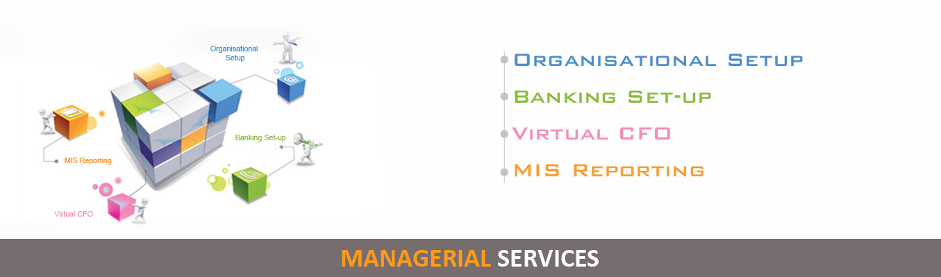 Managerial Services